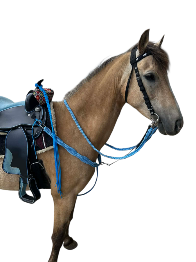 Hand Braided Clip Reins