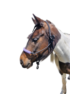 Hand Braided Noseband Rope Halter